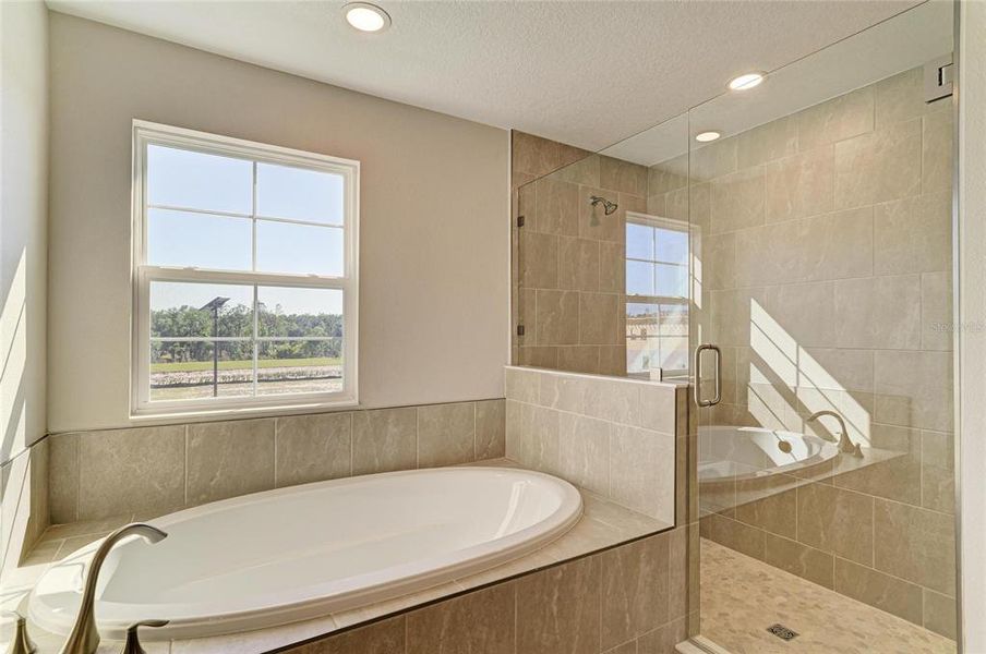 Furnished interior view inside a new home in Pasadena Woods, Pasadena Hills (Image 8).