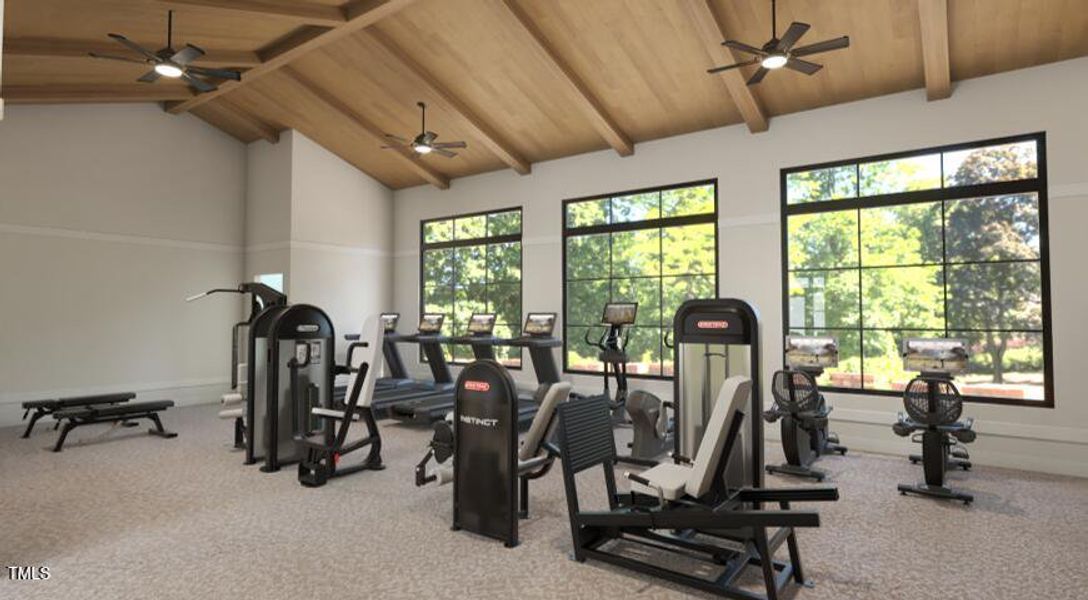 Altis Fitness Room Rendering