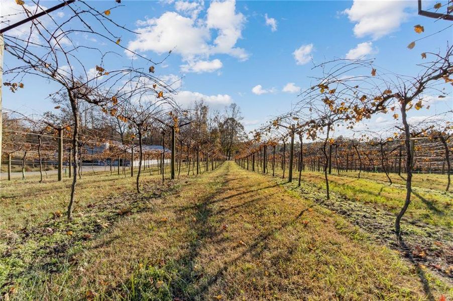 Exterior details and patio area of a home in , Dallas (Image 36). Exterior details and patio area of a home in , Dallas (Image 36).