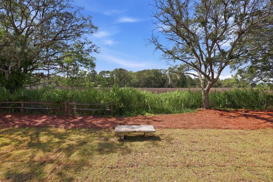 Natural landscape and outdoor views near in Johns Island (Image 30). Natural landscape and outdoor views near in Johns Island (Image 30).