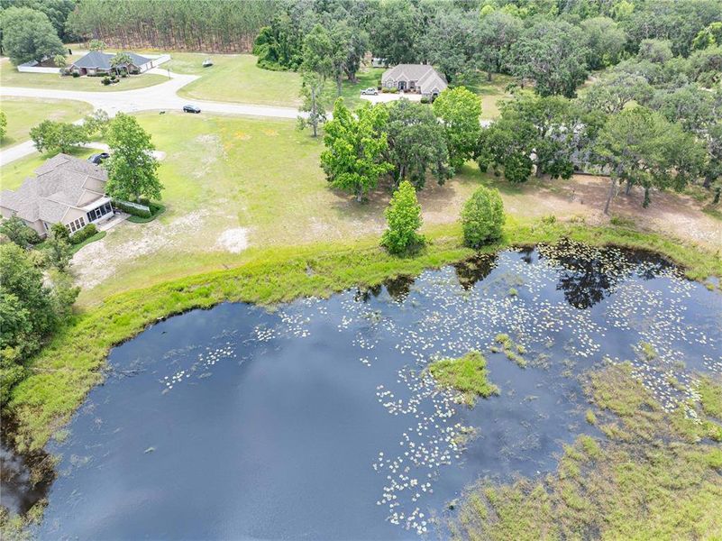 Natural landscape and outdoor views near  in Live Oak (Image 28).