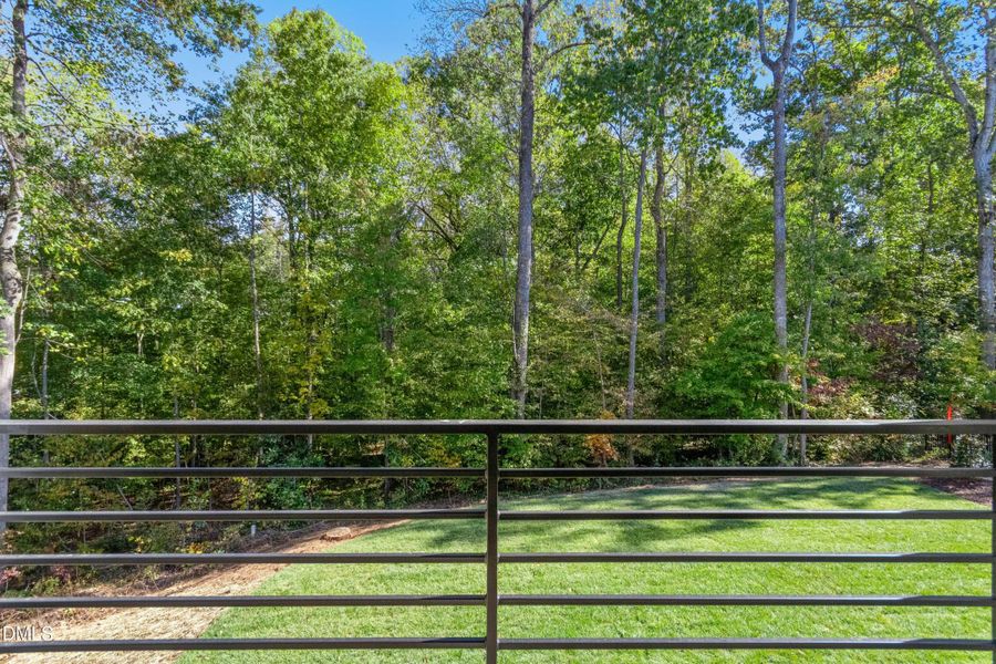 055-487784-IMG_8493 055-487784-IMG_8493