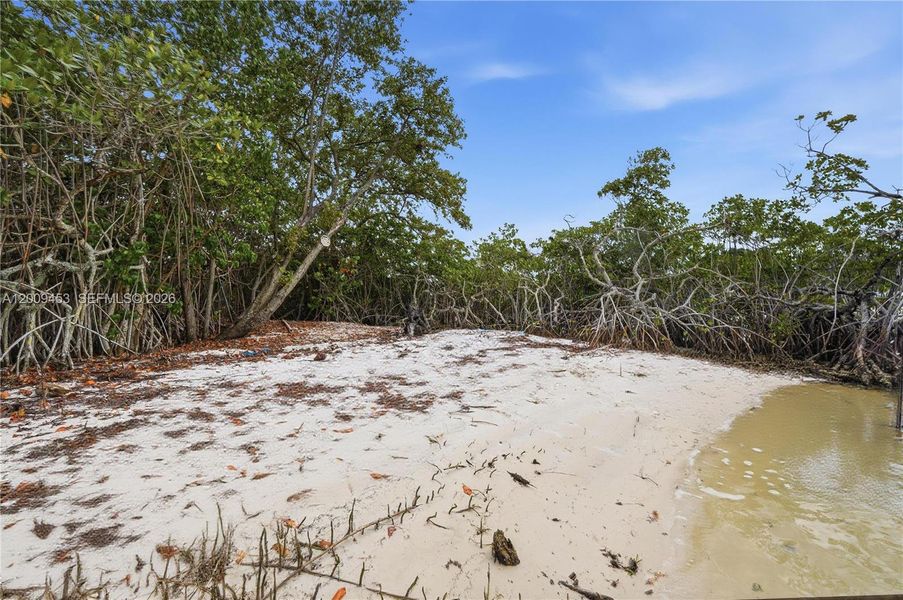 Natural landscape and outdoor views near  in Jupiter (Image 11).