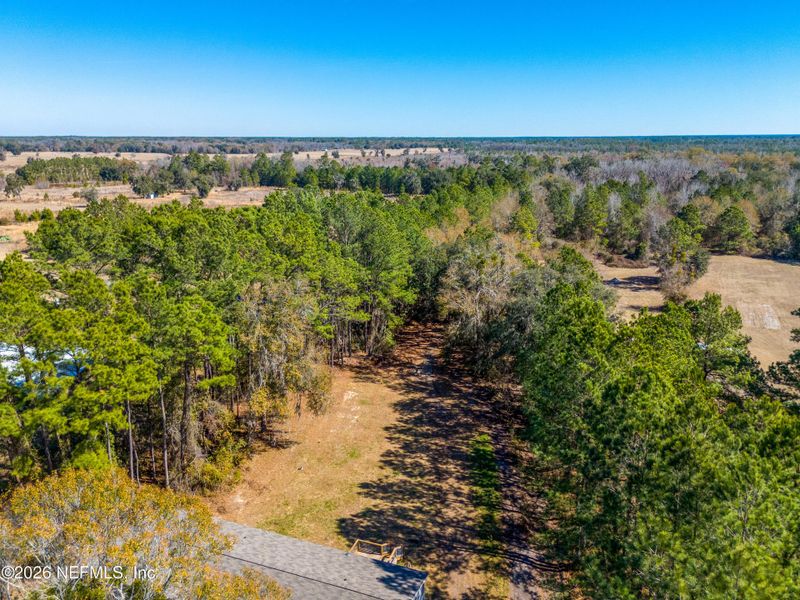 Natural landscape and outdoor views near  in Lake Butler (Image 31).