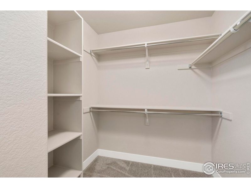 Spacious, unfurnished interior of a new home in , Wellington (Image 24).