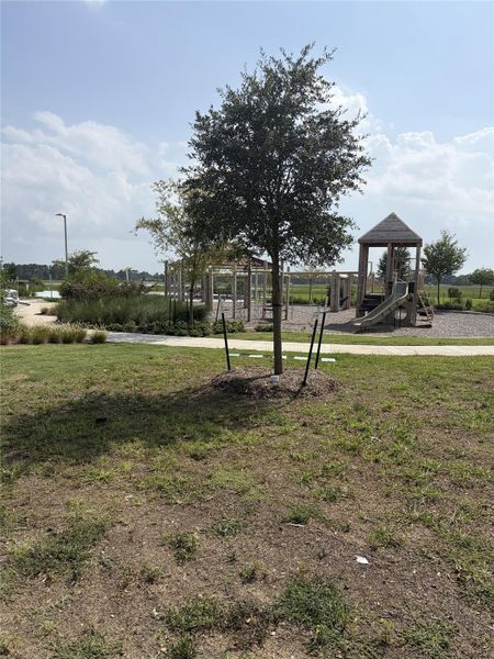 Playground Area