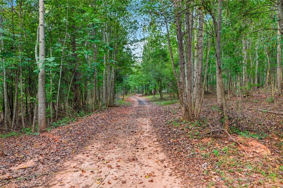 Natural landscape and outdoor views near  in Nicholson (Image 62).