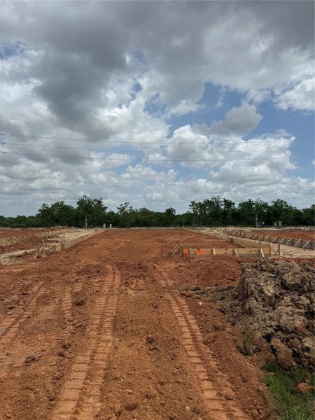 Site preparation for new homesites in Azalea, Pattison (Image 32).
