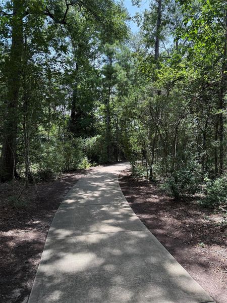 Community Walking Path