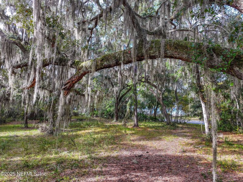 Natural landscape and outdoor views near in St. Augustine (Image 28). Natural landscape and outdoor views near in St. Augustine (Image 28).