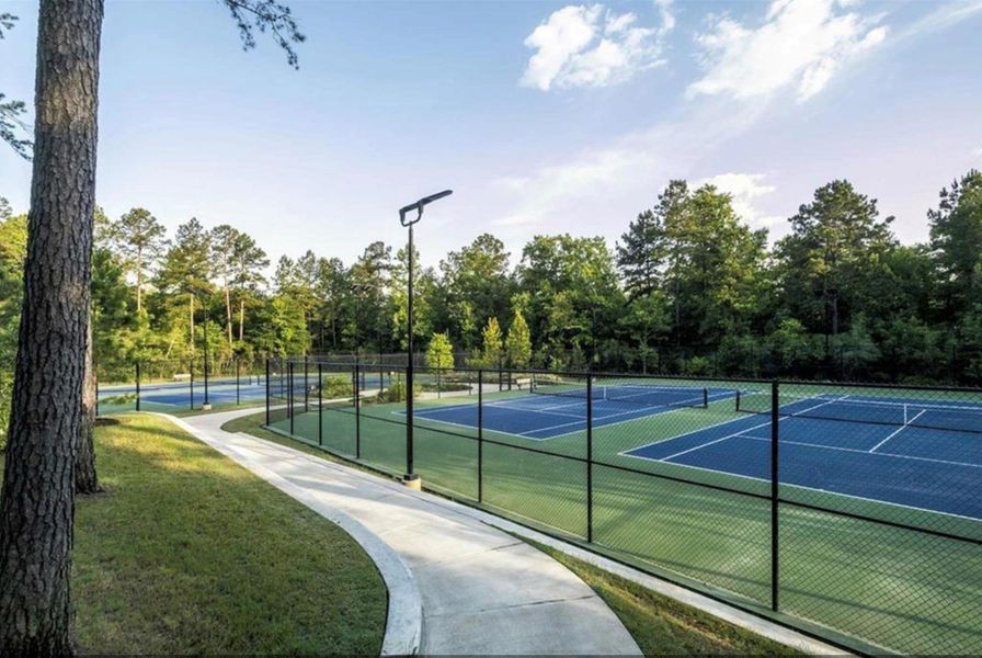 Community amenities in The Woodlands Hills, Willis (Image 30).