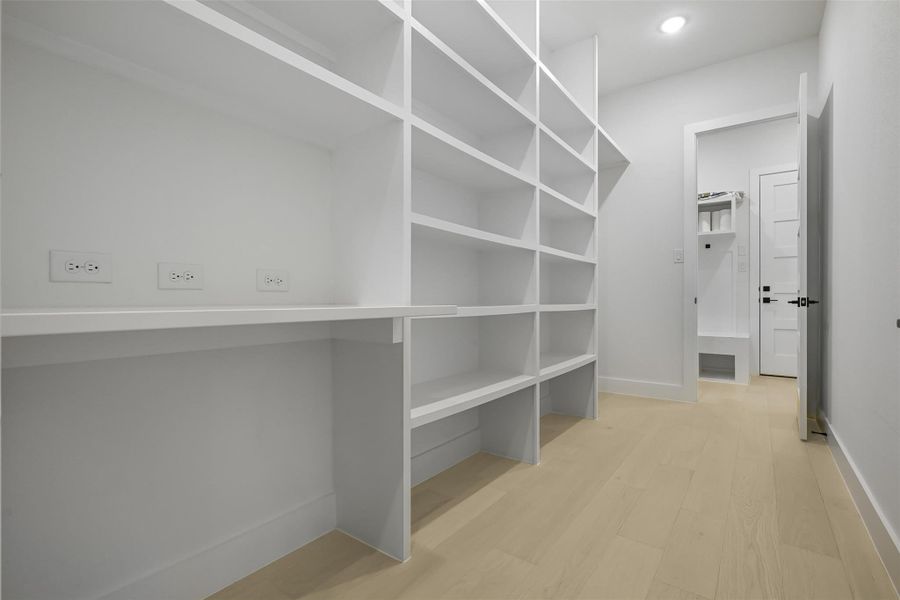 Walk in closet with light wood finished floors