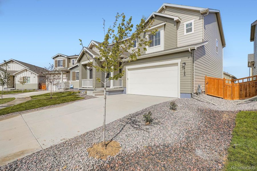 Unfinished basement! Unfinished basement!