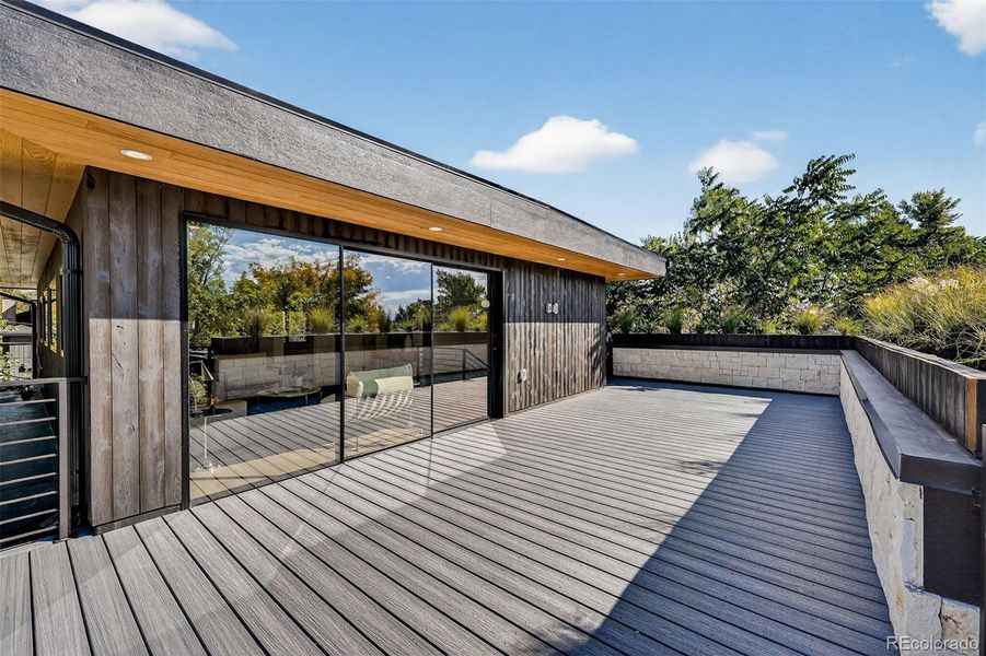 Penthouse deck with custom rooftop garden raised walls
