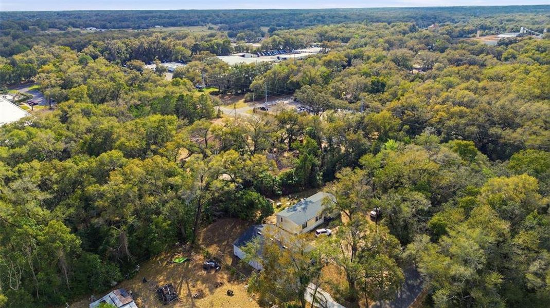 Natural landscape and outdoor views near  in Sorrento (Image 29).