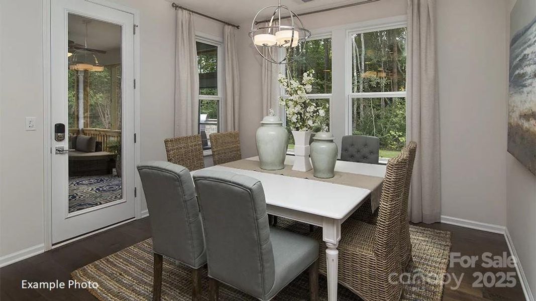 REPRESENTATIVE PHOTO