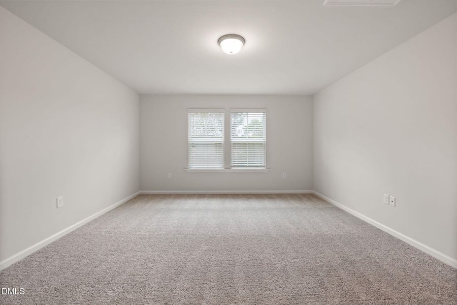 PRO HAMPTON LOT #77 PIC (17)