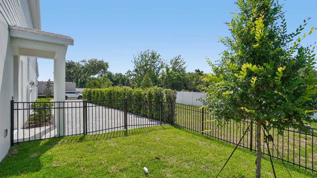 The Fenced Backyard