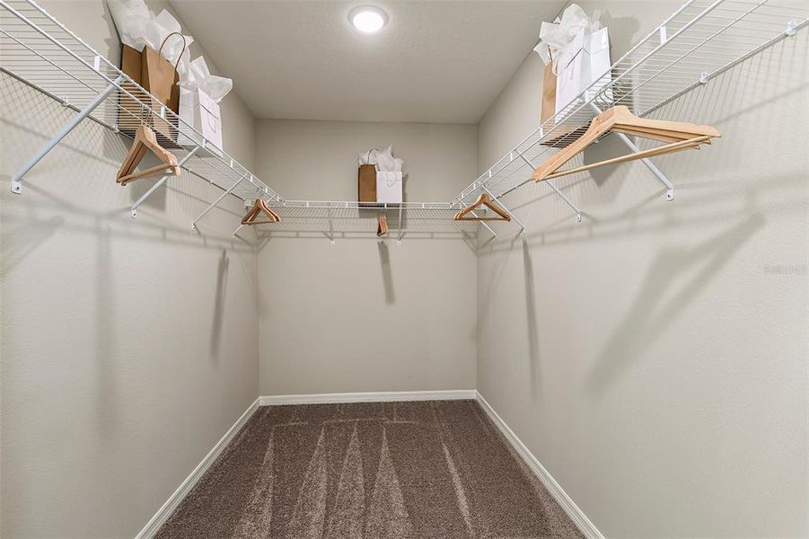 Spacious, unfurnished interior of a new home in Pasadena Landing, Wesley Chapel (Image 18).