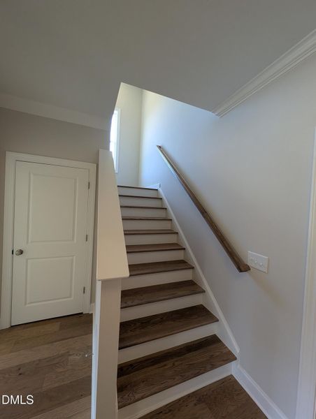 PXL_20251120_142357985 PXL_20251120_142357985