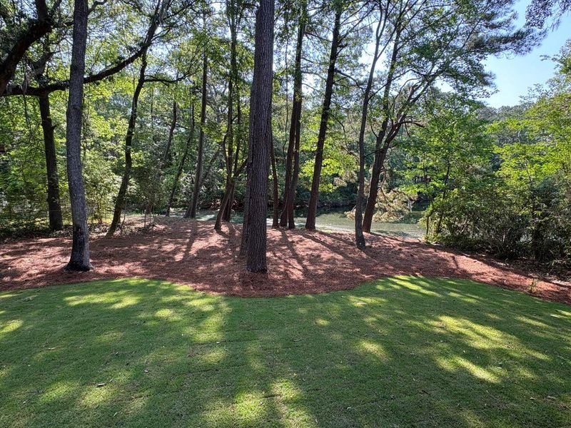 Natural landscape and outdoor views near  in Hollywood (Image 45).