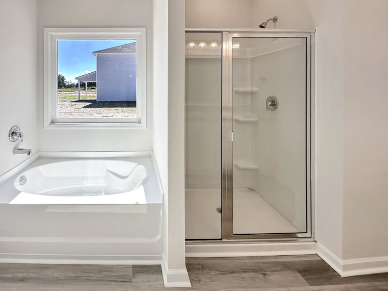 Furnished interior view inside a new home in Tibet Road at Sassafras, Allenhurst (Image 8).