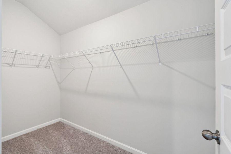 Spacious, unfurnished interior of a new home in Saint John's Lake: Arbor Collection, Johns Island (Image 33).