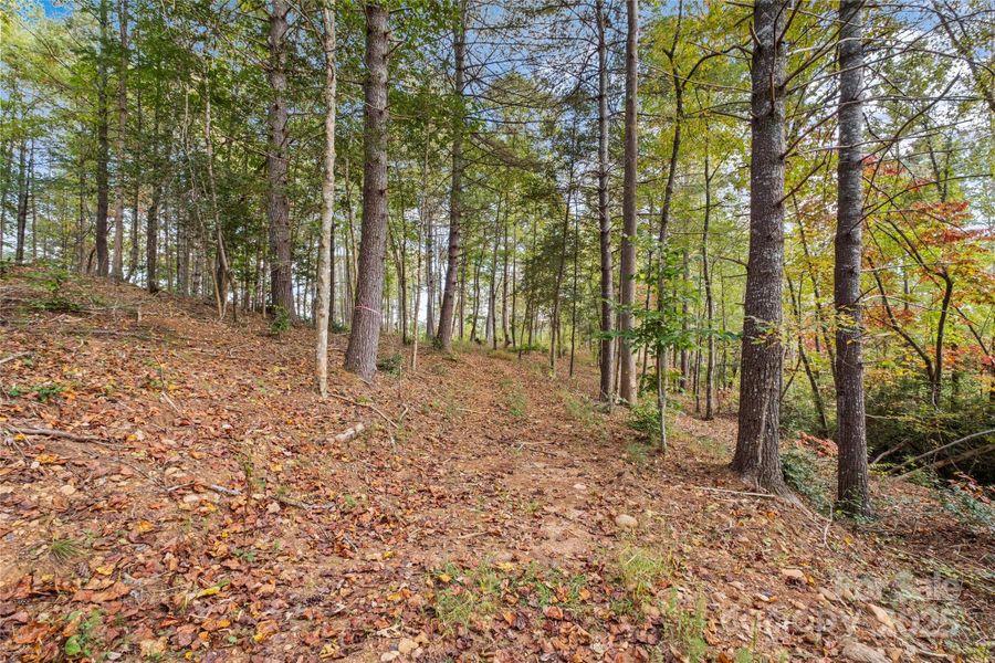 Natural landscape and outdoor views near in Granite Falls (Image 19). Natural landscape and outdoor views near in Granite Falls (Image 19).