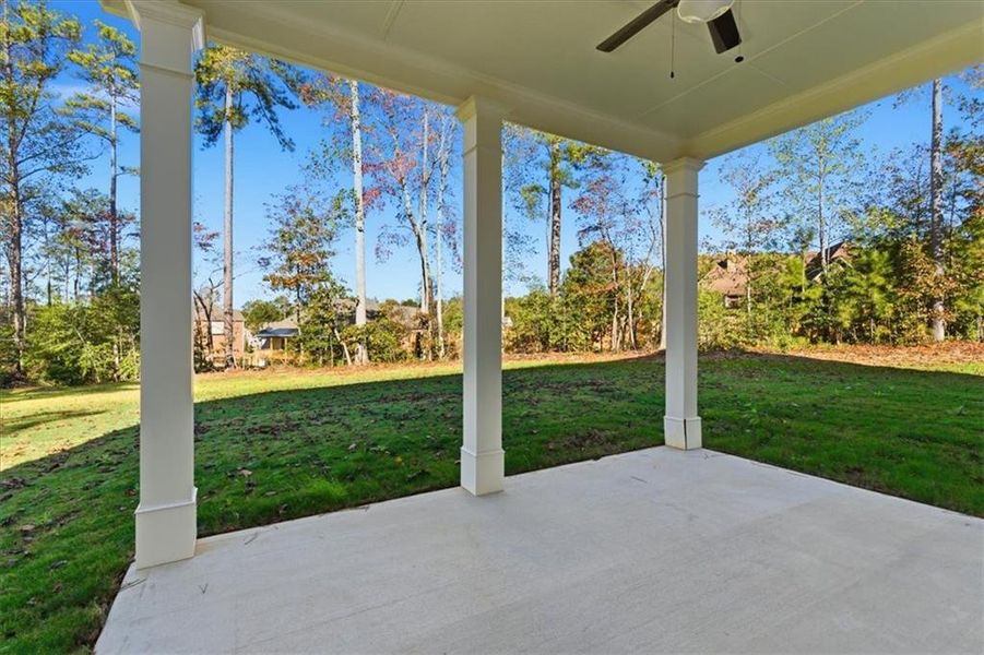 Exterior details and patio area of a home in The Estates at Hurricane Pointe, Douglasville (Image 4).