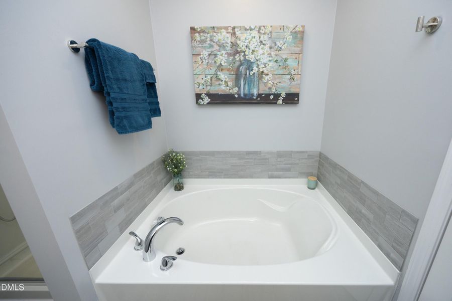 Primary tub