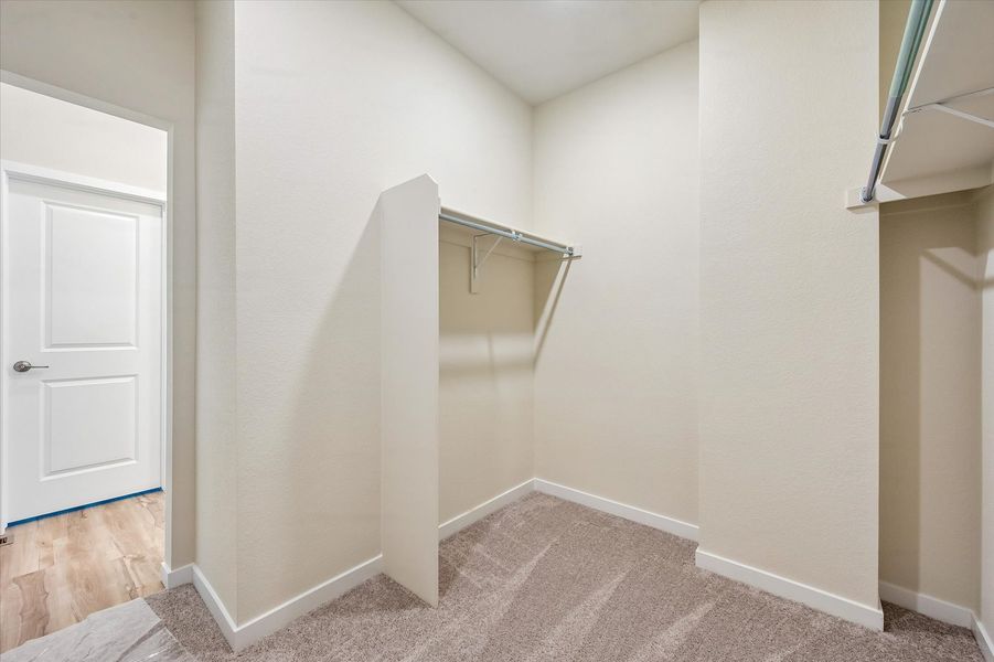 A room with a shower and a door.