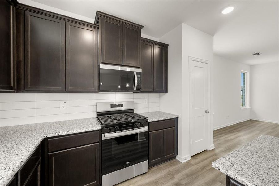 8245 Cheetah Path- Kitchen-4