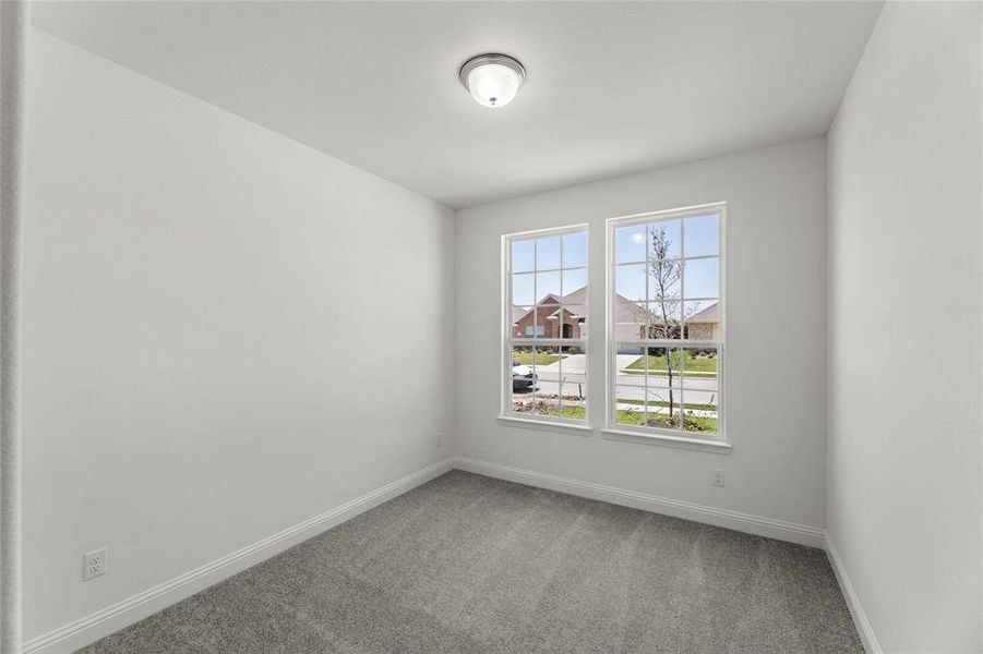 14_Grapevine_Representative Photo 14_Grapevine_Representative Photo