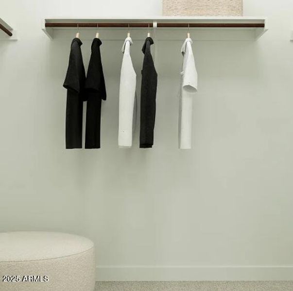 Owners Walk in Closet