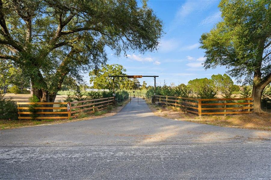Natural landscape and outdoor views near in Alachua (Image 49). Natural landscape and outdoor views near in Alachua (Image 49).
