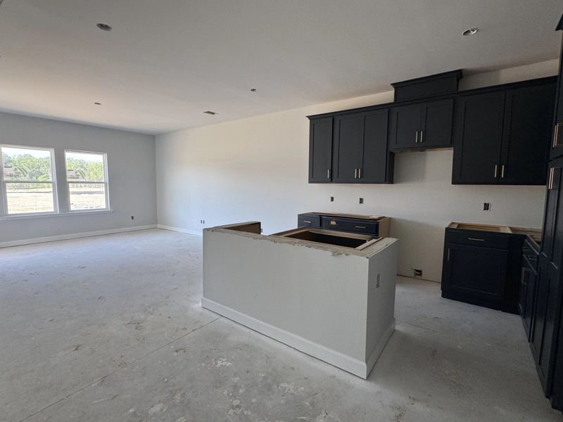 In-progress construction of a new home in Tea Farm, Ravenel, SC (Image 5).