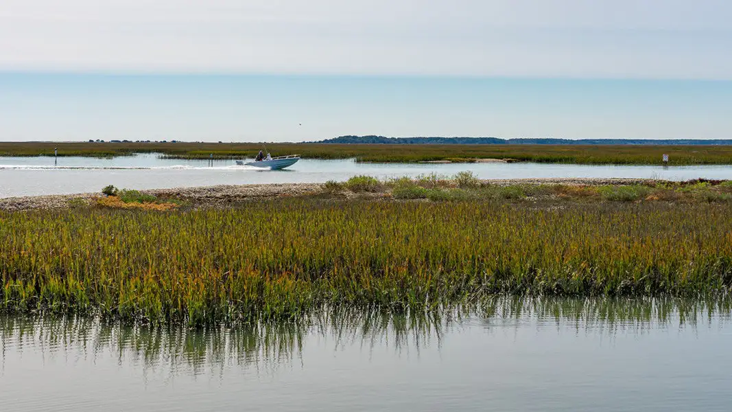 Natural landscape and outdoor views near Winfield Farms in Myrtle Beach (Image 14). Natural landscape and outdoor views near Winfield Farms in Myrtle Beach (Image 14).