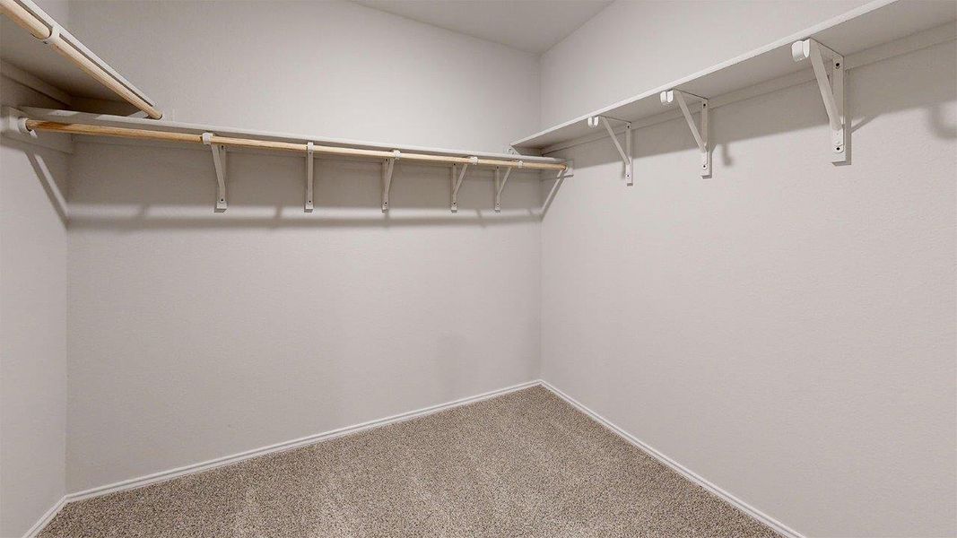 Spacious closet featuring wall-mounted shelving, integrated hanging rods, and neutral carpet flooring Spacious closet featuring wall-mounted shelving, integrated hanging rods, and neutral carpet flooring