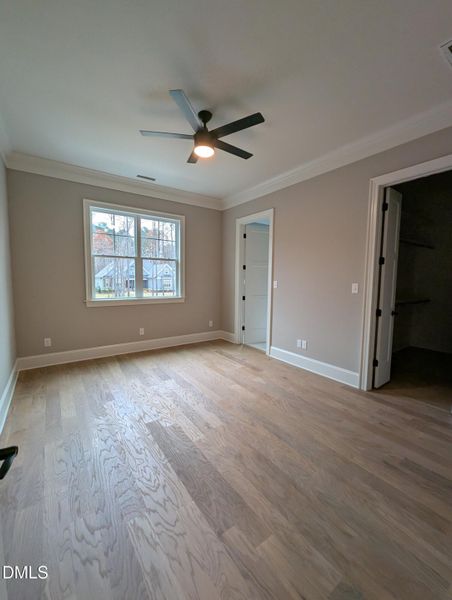 PXL_20251120_152602231.MP