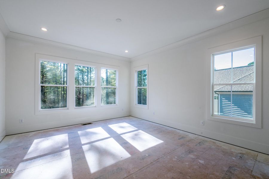 20 canvasback-13 20 canvasback-13