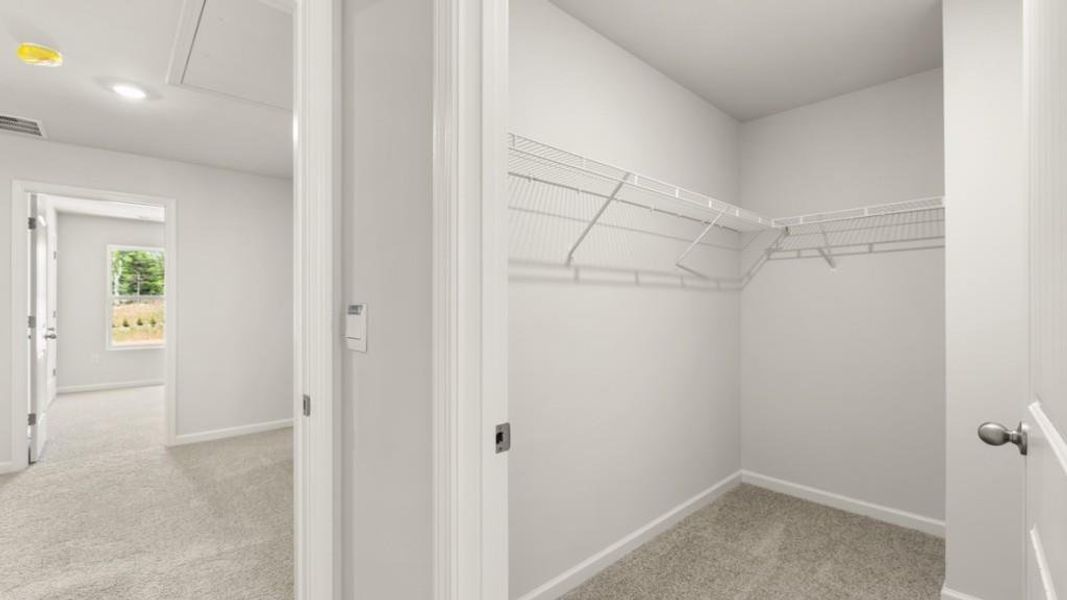 Spacious, unfurnished interior of a new home in Village at Pine Valley, Gainesville (Image 23).
