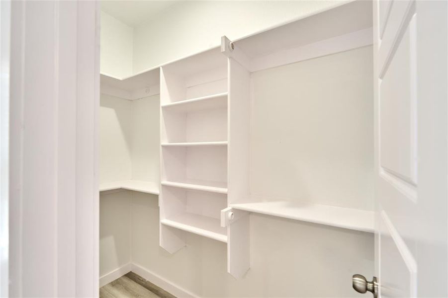 Closet featuring built-in shelving, white painted walls, and wood-finish flooring