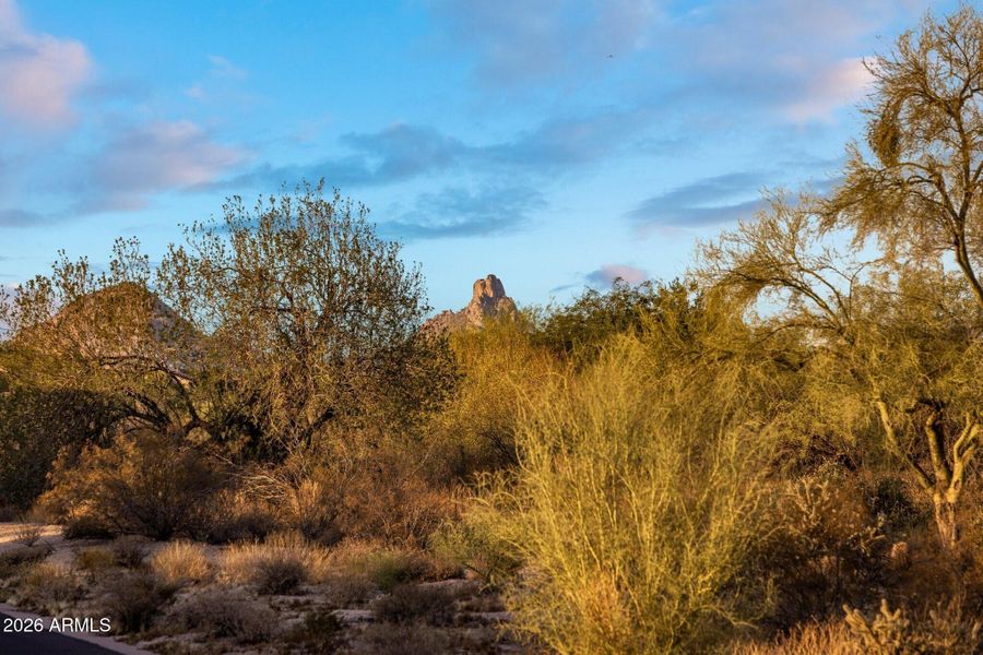 008_Pinnacle Peak View