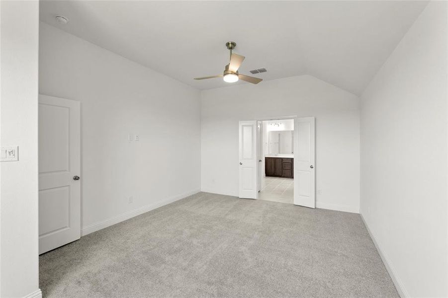 10_Grapevine_Representative Photo 10_Grapevine_Representative Photo