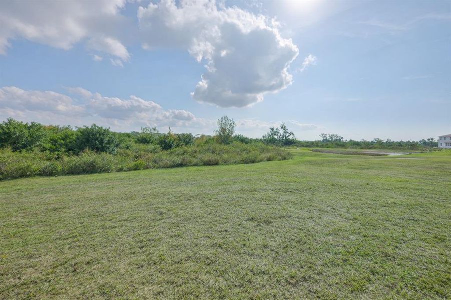 Natural landscape and outdoor views near Silverstone North in Palmetto (Image 38).