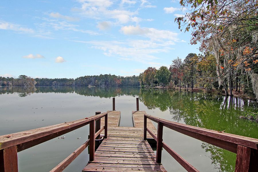 Natural landscape and outdoor views near Heron's Walk at Summers Corner in Summerville (Image 64).