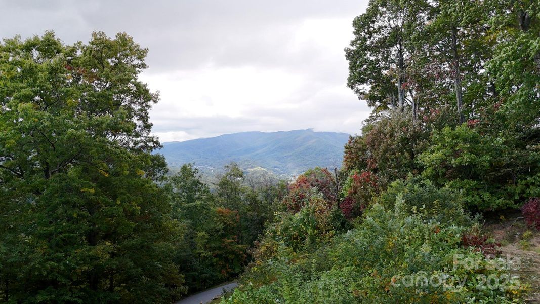 Natural landscape and outdoor views near  in Waynesville (Image 17).