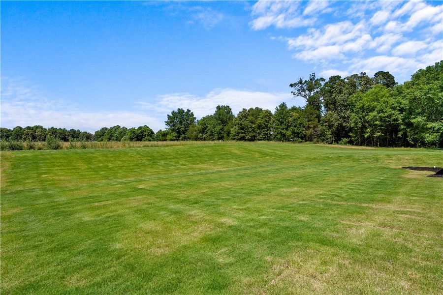 A sprawling green lawn extends towards a distant t A sprawling green lawn extends towards a distant t