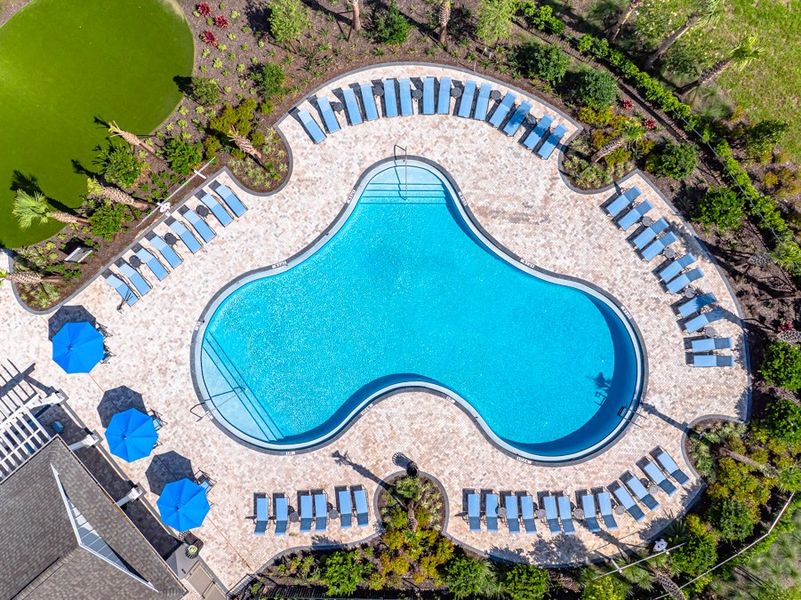 Community amenities in Palm Wind, Hudson (Image 6).