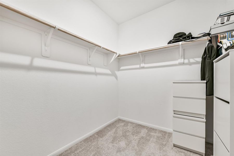 Spacious walk-in closet with ample shelving and hanging space, featuring clean white walls and carpeted flooring. Plenty of room for additional storage.